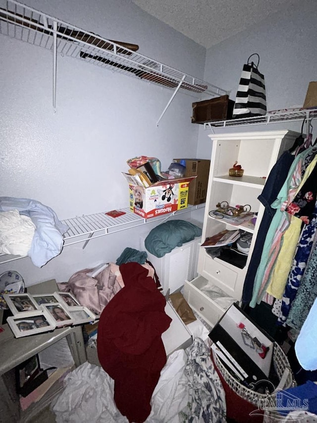 view of walk in closet