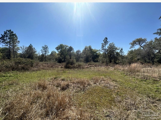 Popcorn Rd, Milton FL, 32583 land for sale