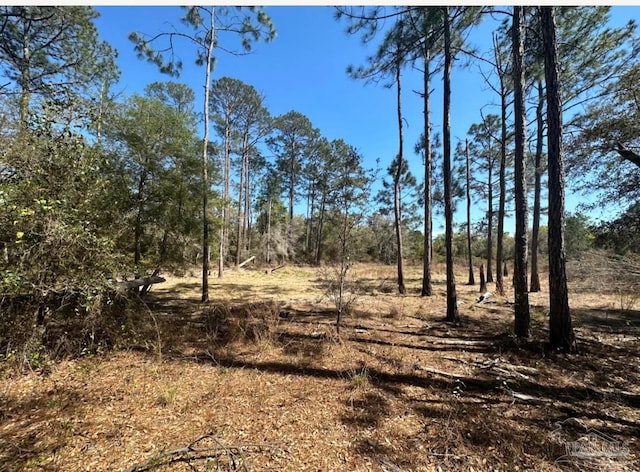 Listing photo 2 for Popcorn Rd, Milton FL 32583