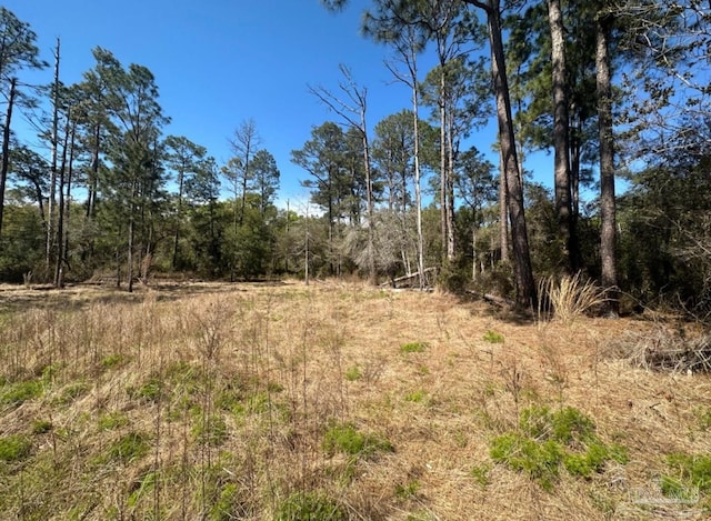 Listing photo 2 for Popcorn Rd, Milton FL 32583