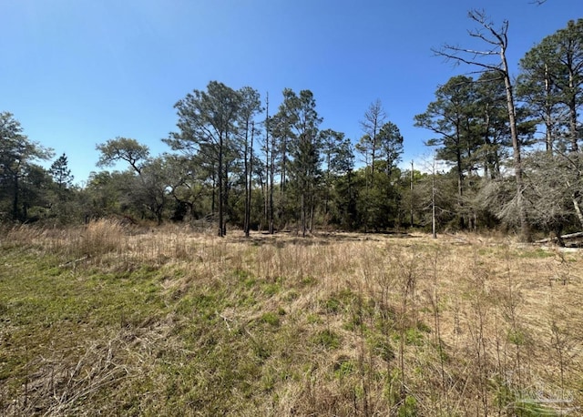 Listing photo 3 for Popcorn Rd, Milton FL 32583