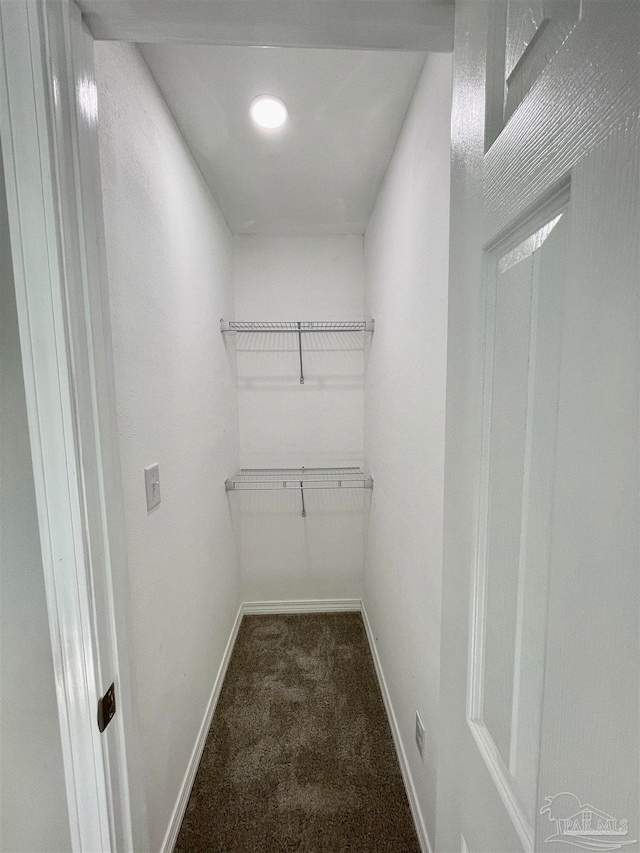 spacious closet featuring carpet flooring