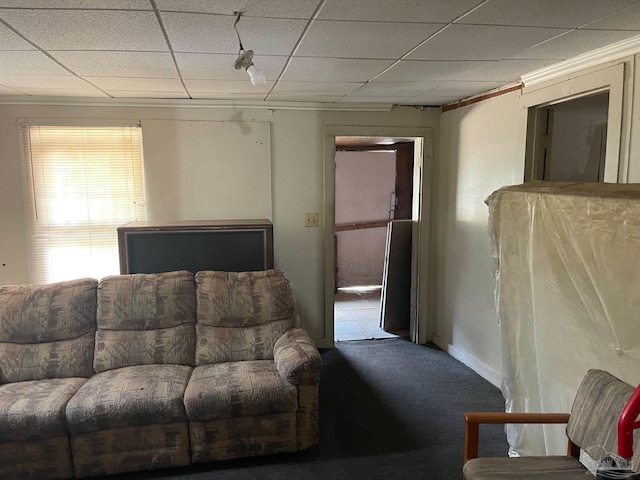 living area with a drop ceiling, carpet, and baseboards