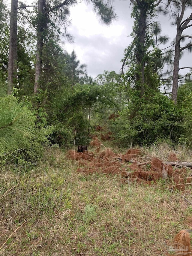 O Woodpecker Ln, Holt, FL 32564