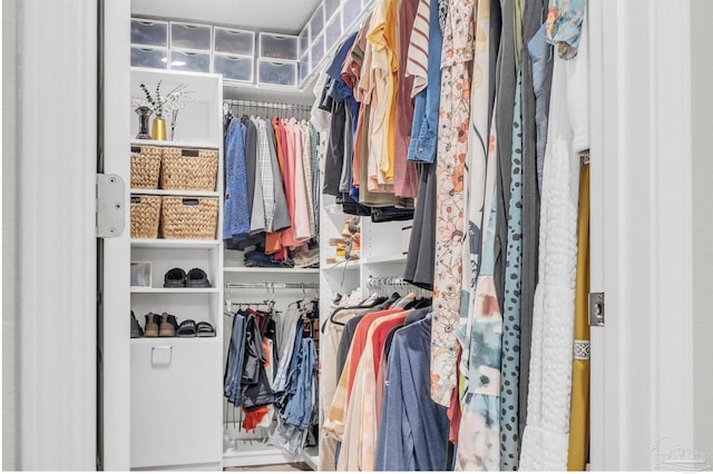 view of spacious closet