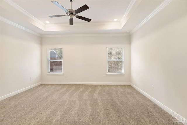 empty room featuring a tray ceiling, carpet, and a wealth of natural light