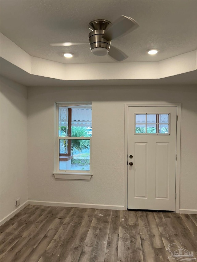 foyer featuring ceiling fan, plenty of natural light, and dark wood-type flooring