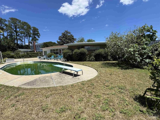 pool featuring a lawn, a diving board, and a patio area