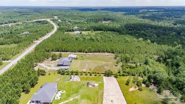 7664 Buffalo Ridge Rd, Pace, FL 32571 - drone / aerial view of a forest