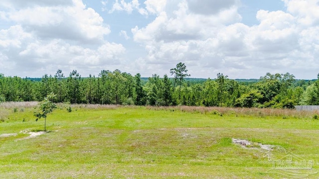 7664 Buffalo Ridge Rd, Pace, FL 32571 - view of yard with a view of countryside