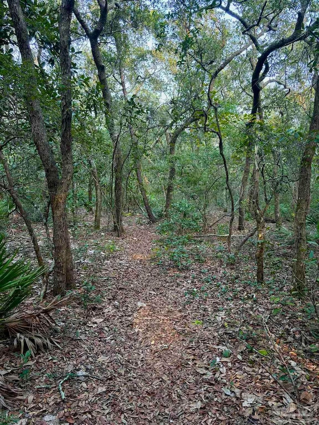 view of local wilderness