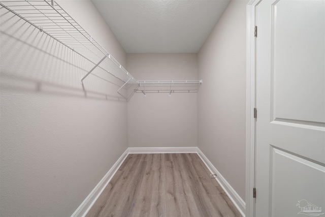 walk in closet with light wood-style floors