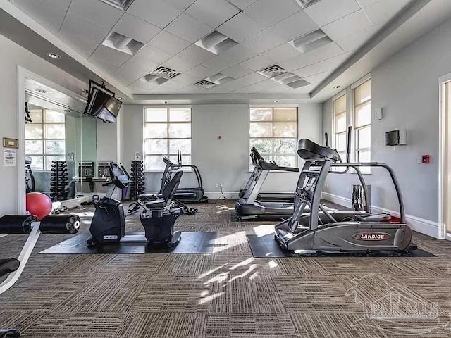 workout area with a paneled ceiling, a healthy amount of sunlight, and carpet