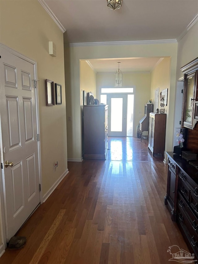 corridor featuring crown molding, a notable chandelier, and dark hardwood / wood-style flooring