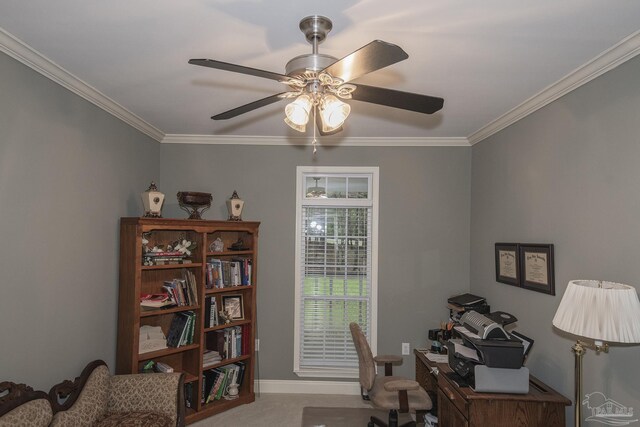 carpeted home office with ceiling fan and ornamental molding