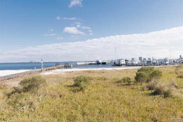 view of water feature with a beach view