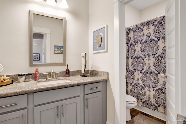 bathroom featuring toilet, vanity, and a shower with curtain