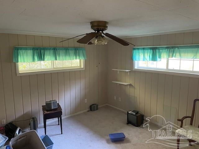 unfurnished room featuring carpet floors and ceiling fan