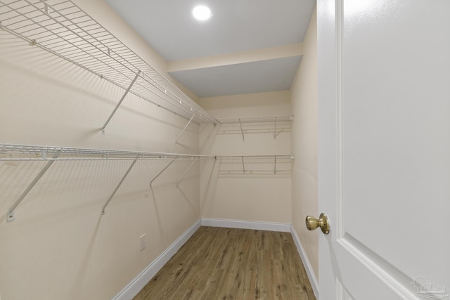 spacious closet featuring wood-type flooring