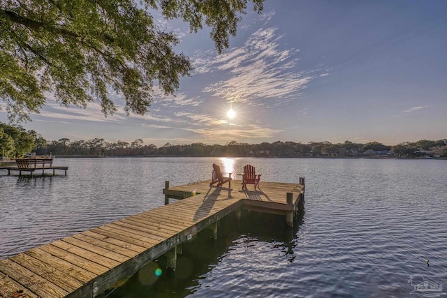 dock area with a water view