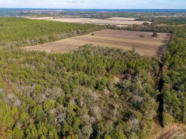 0000 N Bob Brooks Rd, Baker FL, 32531 land for sale