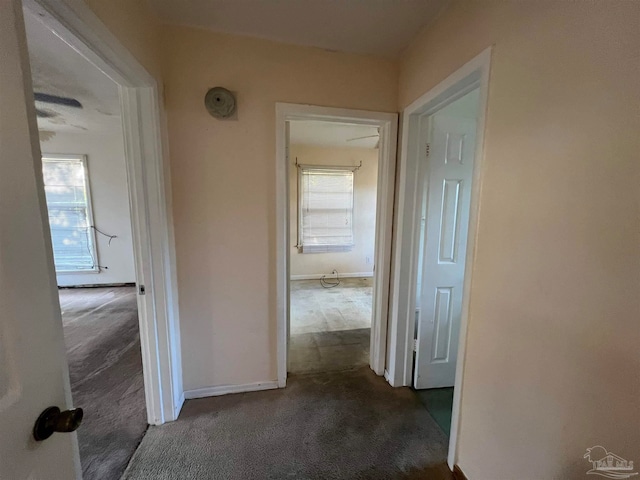 hall featuring dark carpet and plenty of natural light