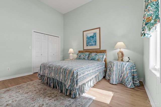 bedroom featuring wood-type flooring and a closet