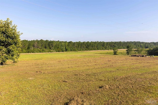 view of landscape featuring a rural view and a forest view