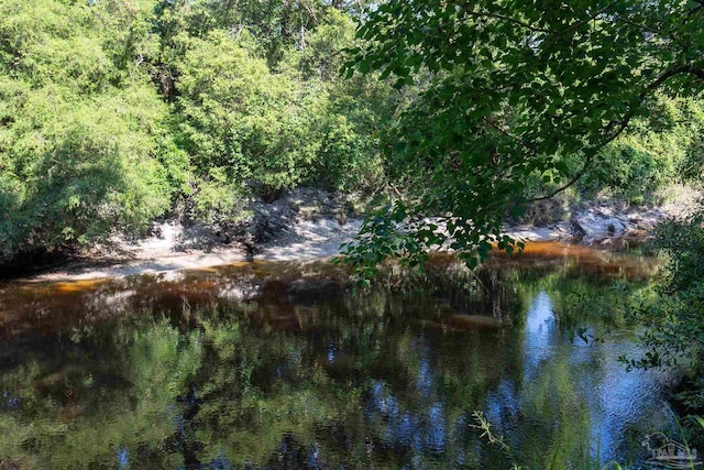 property view of water featuring a view of trees