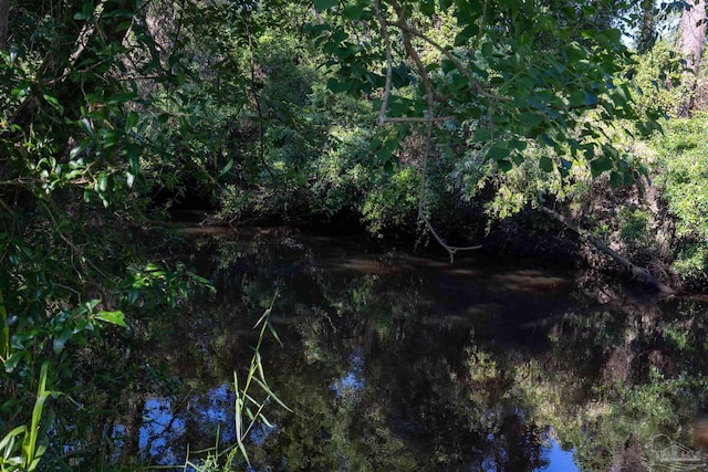 view of local wilderness