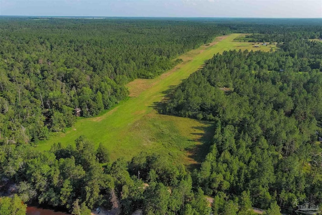 bird's eye view with a forest view