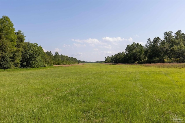 view of landscape featuring a rural view and a view of trees