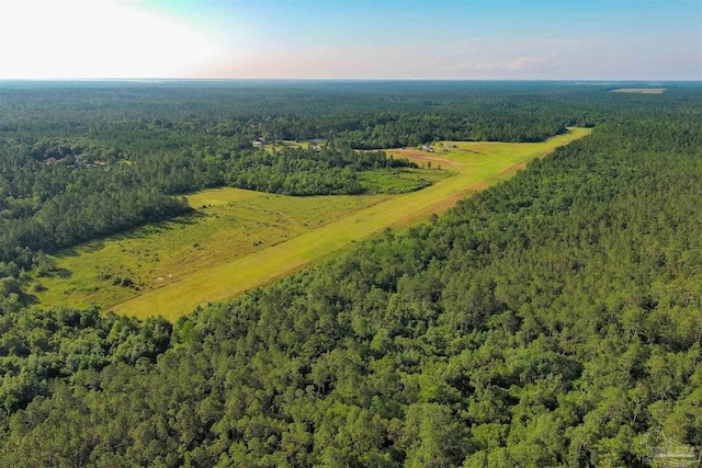 bird's eye view with a forest view
