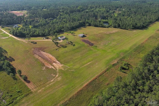 drone / aerial view featuring a rural view and a forest view