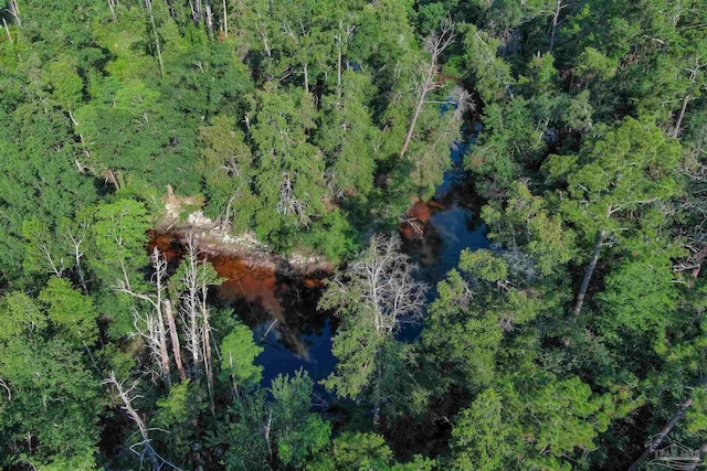 bird's eye view with a forest view