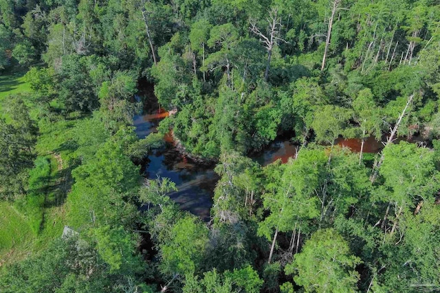 birds eye view of property featuring a wooded view