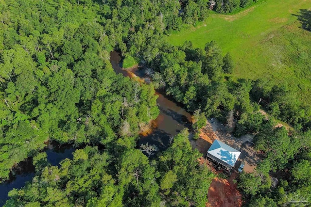 bird's eye view featuring a view of trees