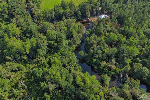 drone / aerial view with a water view and a view of trees
