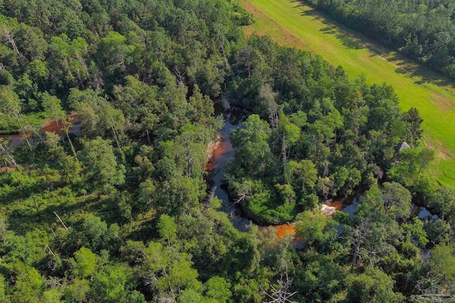 aerial view featuring a forest view