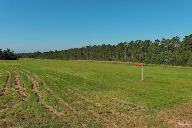 view of yard with a rural view and a wooded view