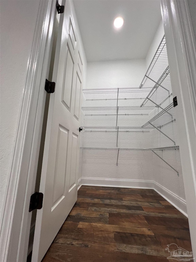 walk in closet with dark hardwood / wood-style flooring