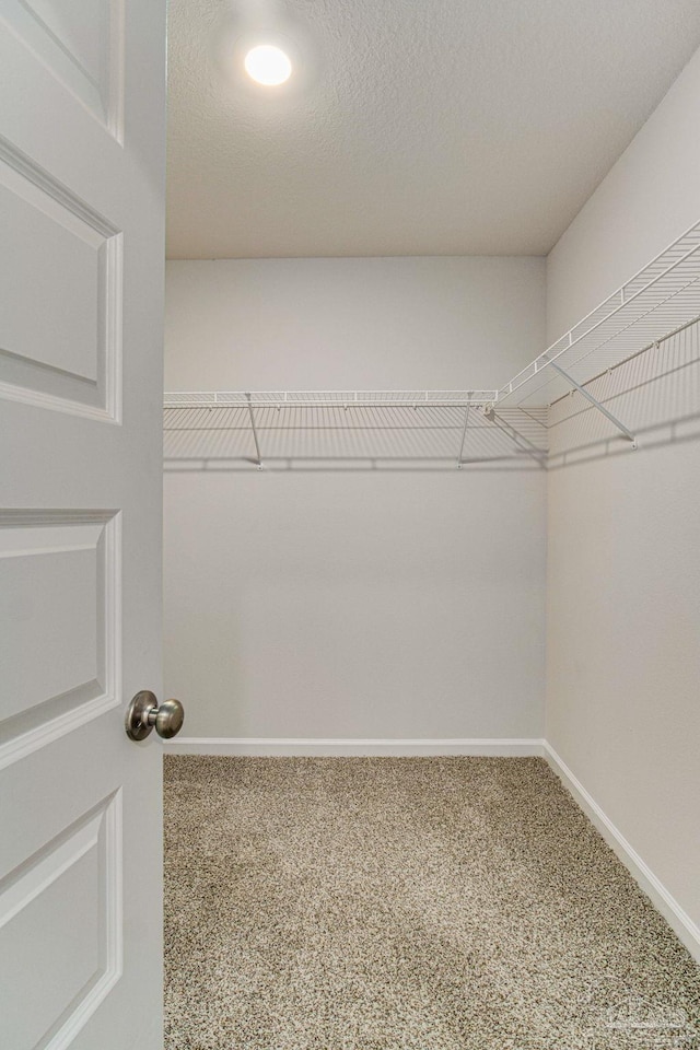 spacious closet with carpet flooring