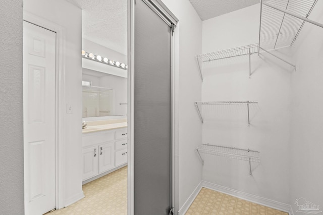 spacious closet featuring sink