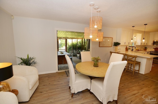 dining area featuring sink, light hardwood / wood-style floors, and a textured ceiling