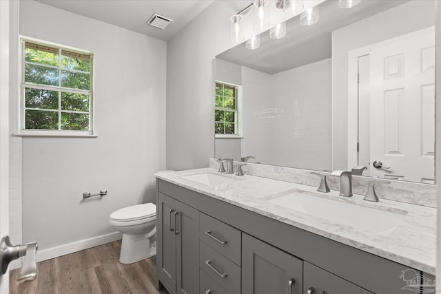 bathroom featuring vanity, wood-type flooring, and toilet