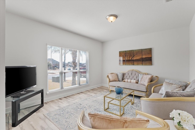 living room with wood-type flooring