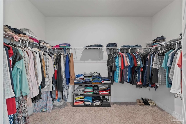 walk in closet with carpet