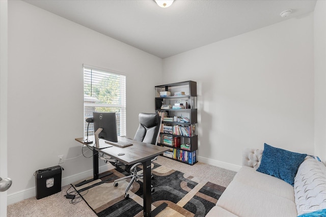 view of carpeted home office