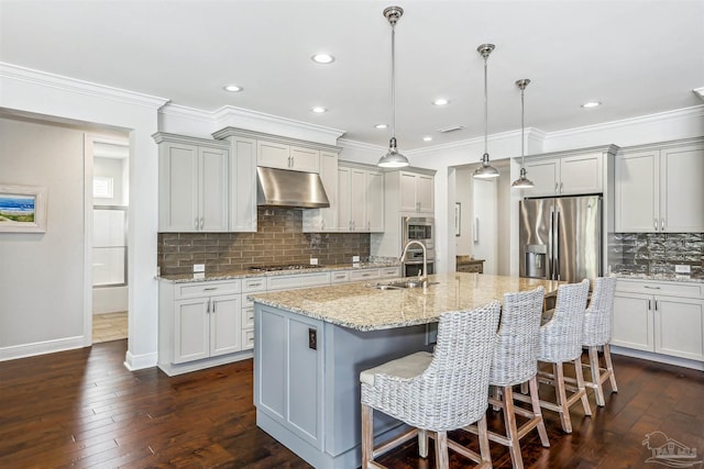 kitchen with dark wood-style flooring, appliances with stainless steel finishes, a sink, decorative backsplash, and under cabinet range hood
