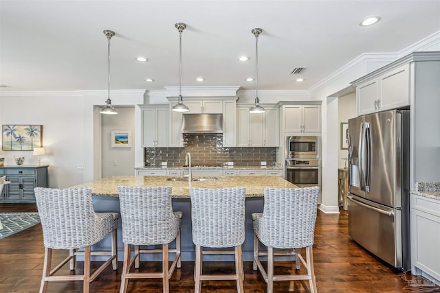 kitchen featuring dark wood-style flooring, under cabinet range hood, light stone countertops, and stainless steel appliances
